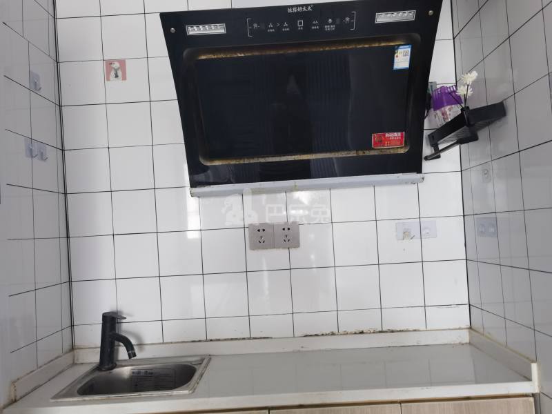 惠东村（村庄）11684274厨房图5