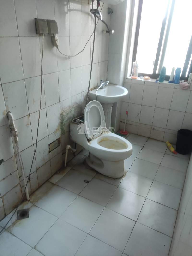 金桥新城金舍苑10375394卫生间图12