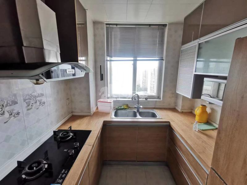 环绿国际11742032厨房图2