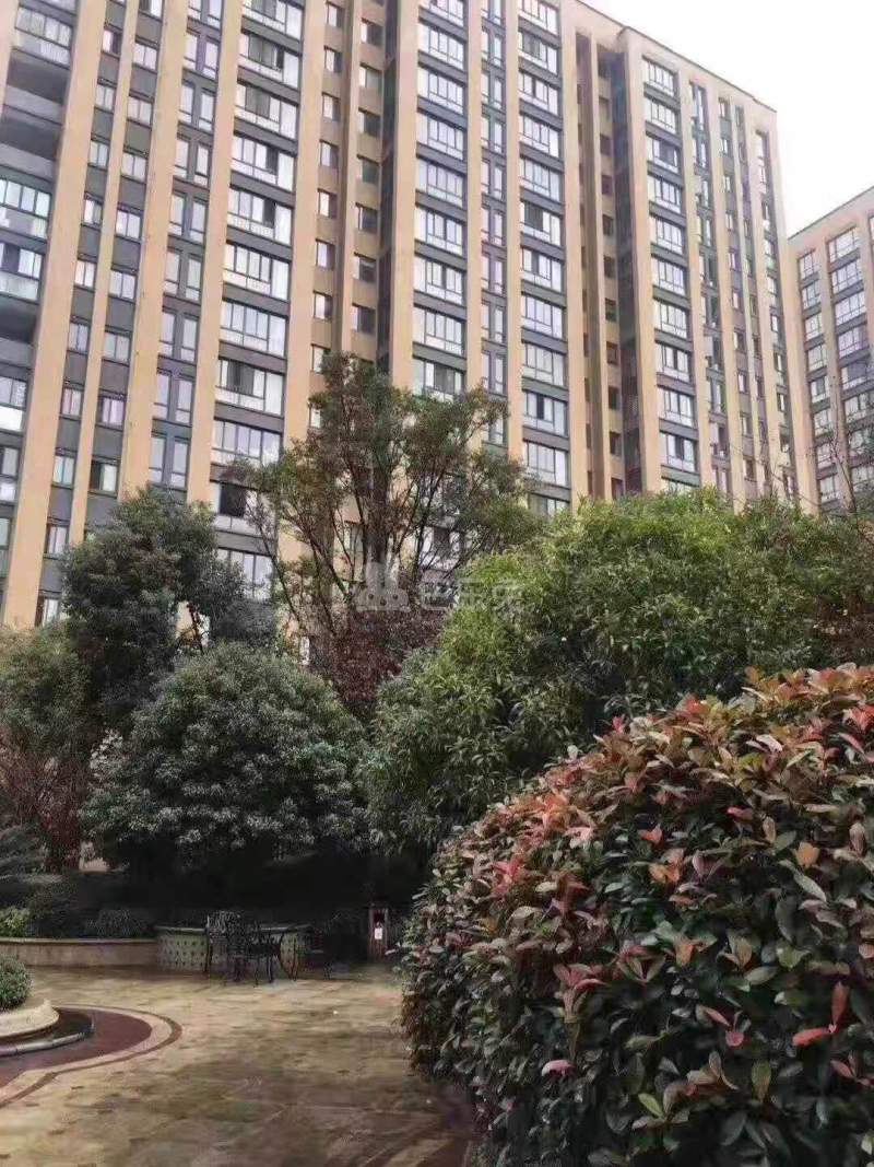 新都公园家11742777周边环境图3