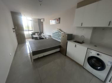 绿地21城国际家园A区 1室1厅1卫