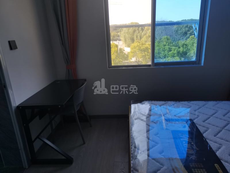 杨家镇小区（龙三路166弄）11767233卧室图6