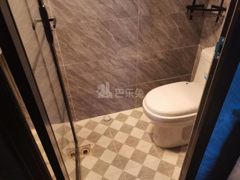 杨家镇小区（龙三路166弄）11767233卫生间图12