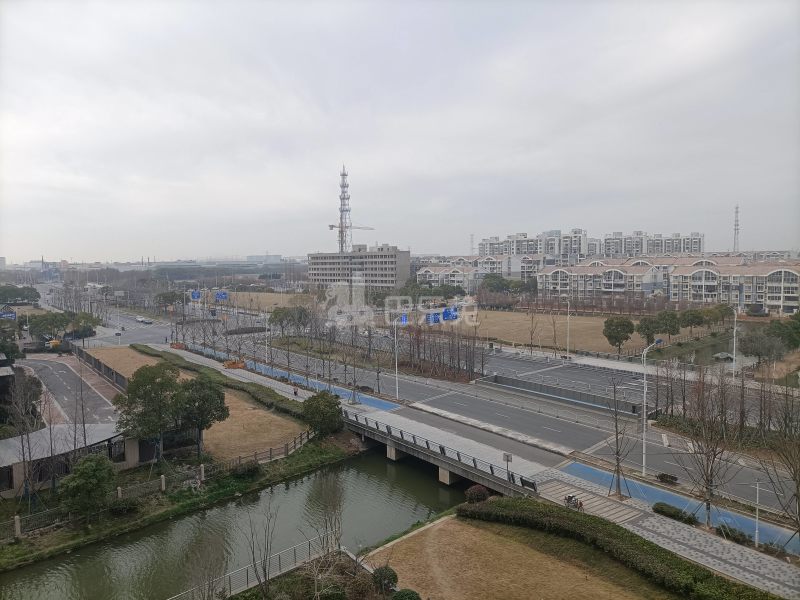 临港17区11774162周边环境图7