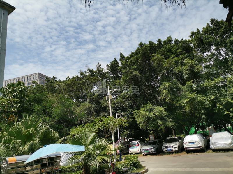 月亮湾花园1182587周边环境图8