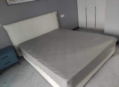 吴家东风嘉苑一区 