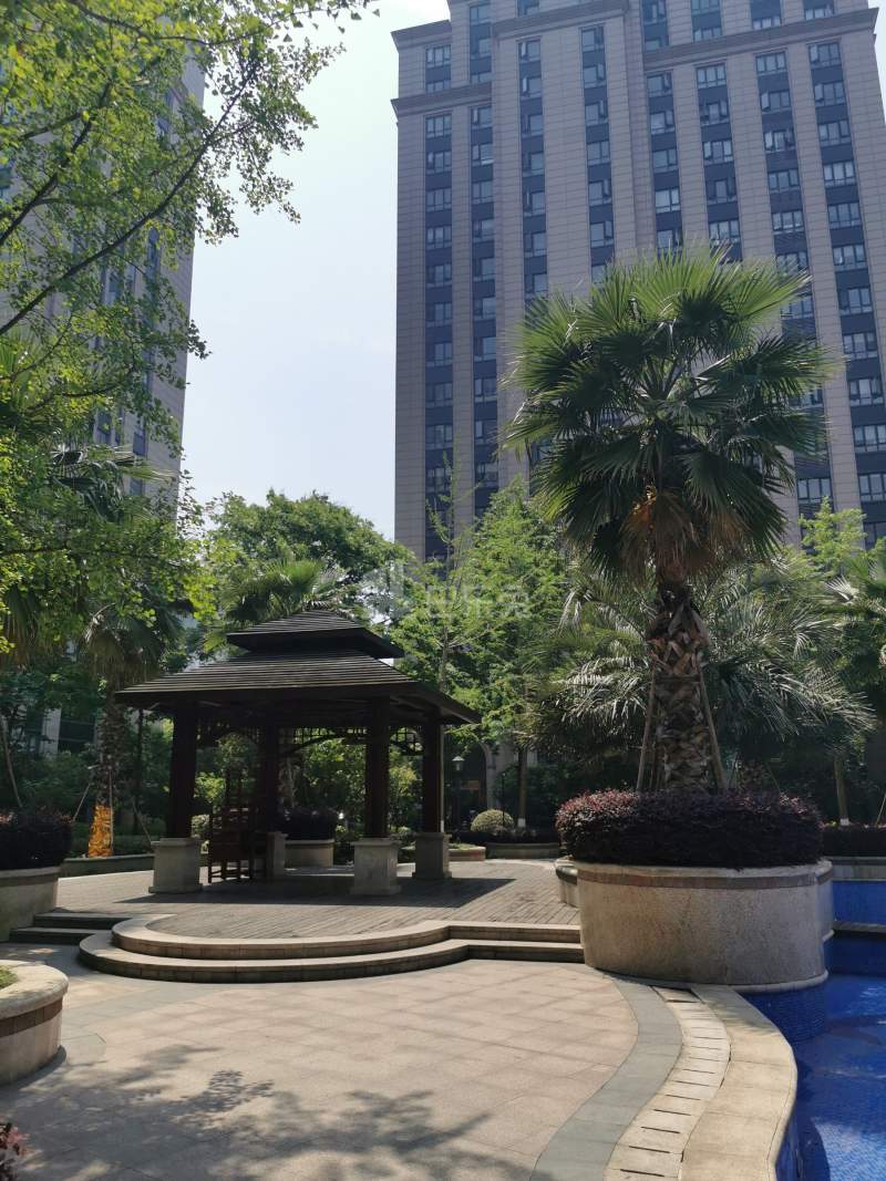 创美华彩国际11835596周边环境图7