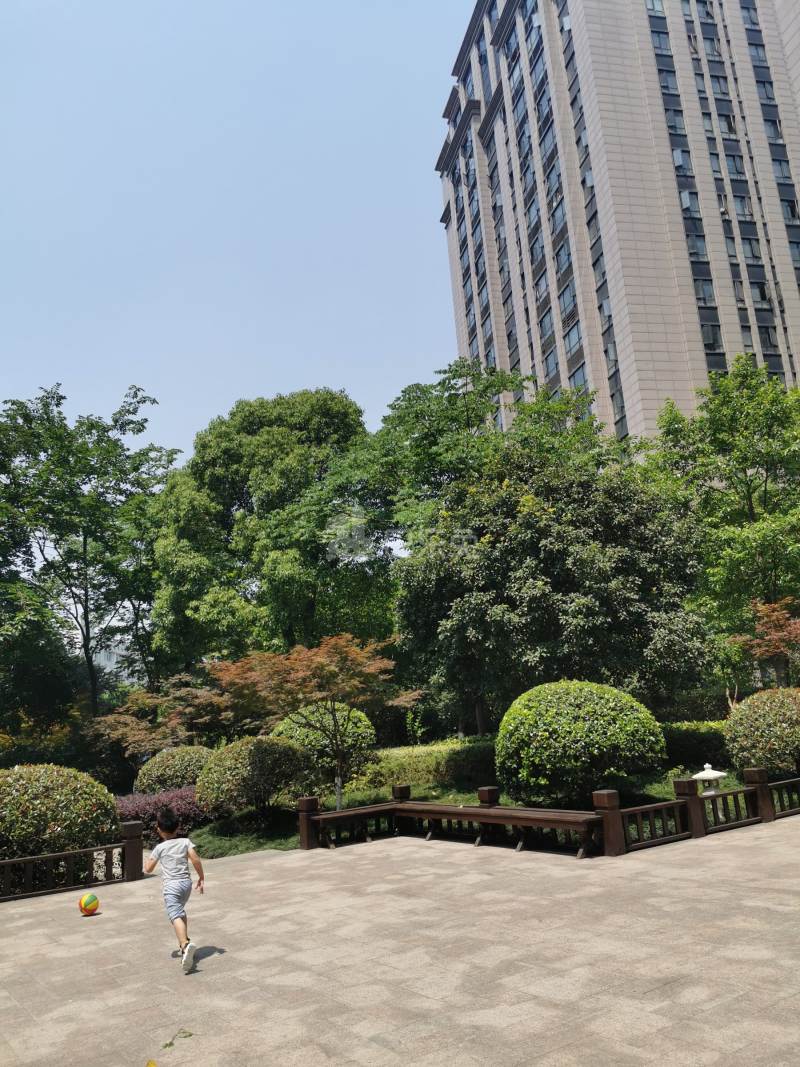 创美华彩国际11858562周边环境图7