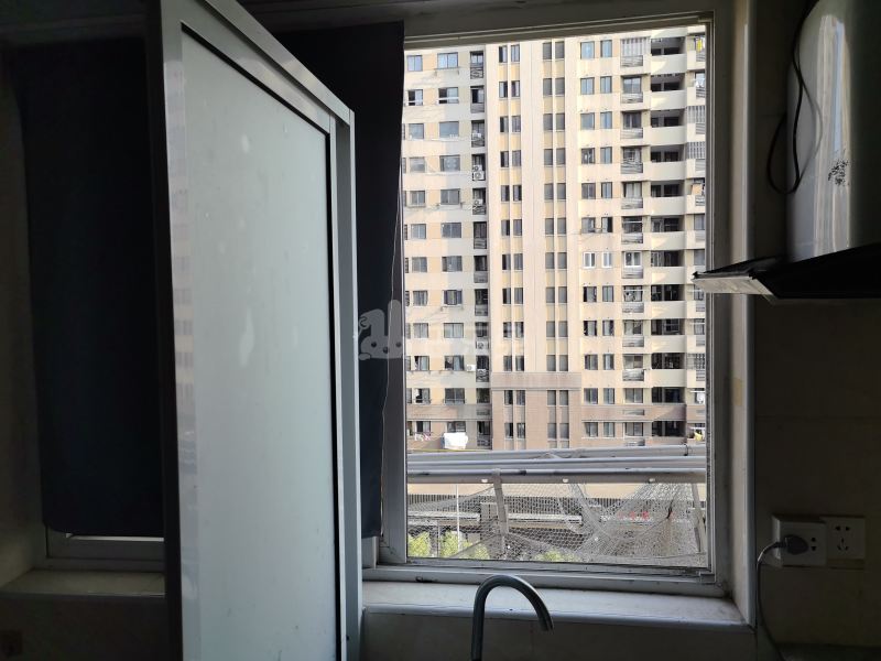 汇郡海棠苑（浦东）11874848卧室窗户图14