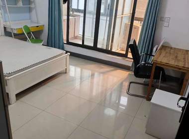 榴莲公寓（西郊家园店） 1室1厅1卫