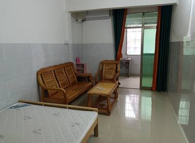 番禺区大龙街罗家村渤海前街5巷4号 