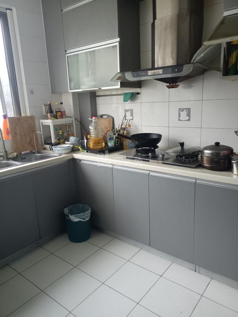 明园小安桥11931893厨房图9