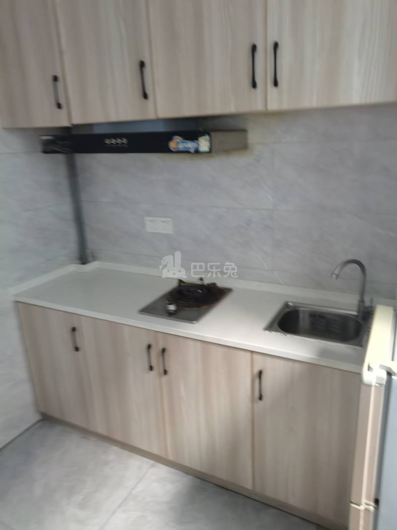 吴家东风嘉苑一区11939369厨房图4