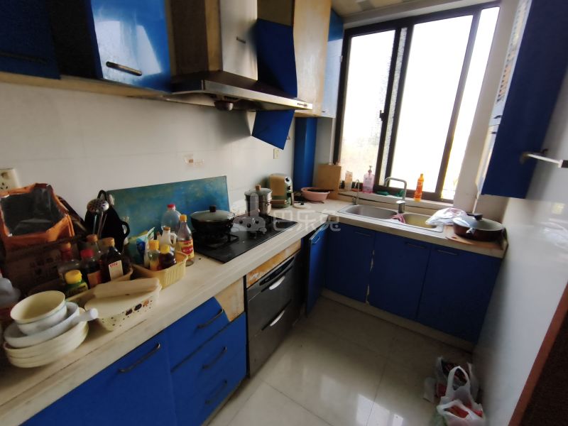 青水湾公寓11941912厨房图5