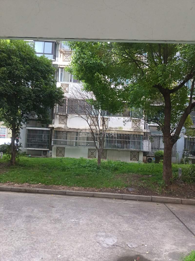 通协小区1195655周边环境图7