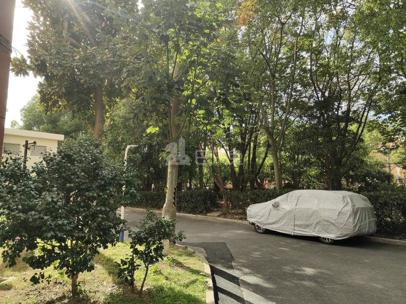 富特五村（春晖路289弄）11986293周边环境图7