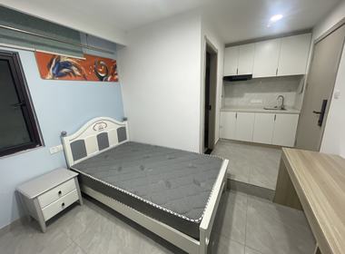 绿地21城国际家园A区 1室0厅1卫