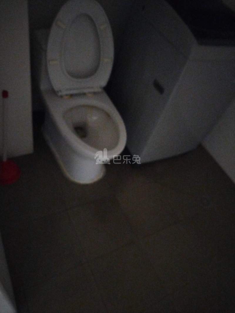 罗城小区11993954卫生间图9