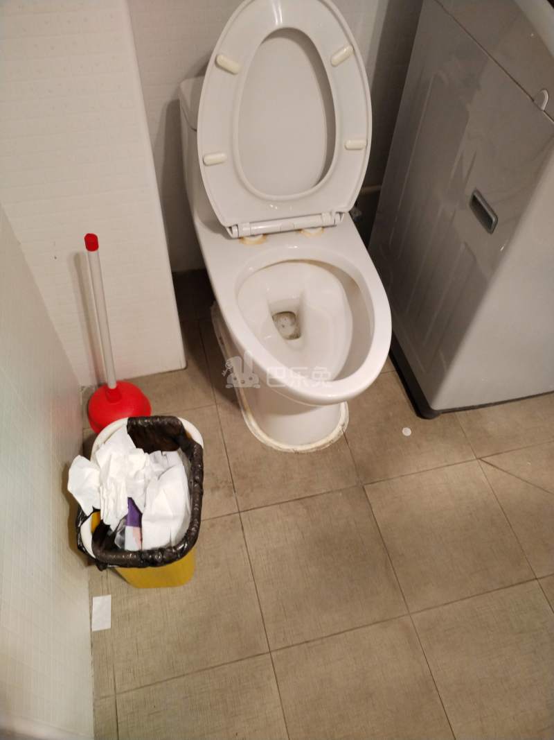 罗城小区11993954卫生间图8