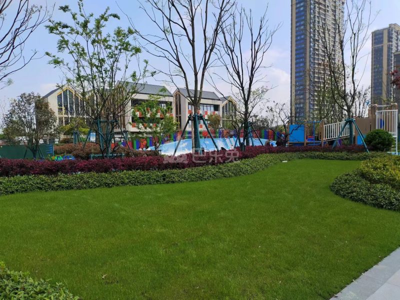 光合映12052949周边环境图5