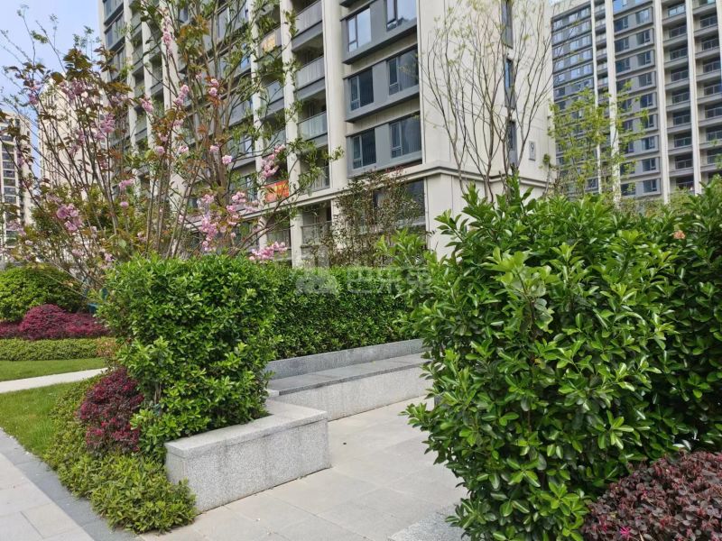 光合映12052949周边环境图6