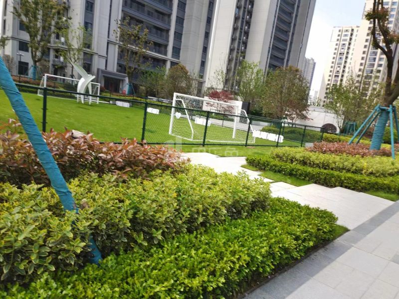 光合映12052949周边环境图8