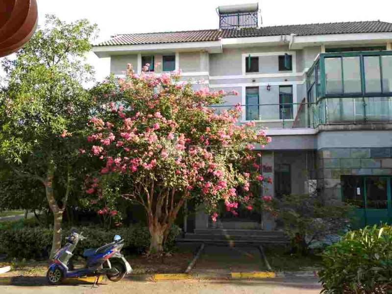 檀香花苑3452900周边环境图16