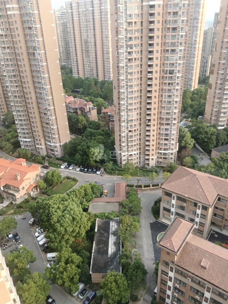 鑫苑国际城市花园12103371周边环境图10