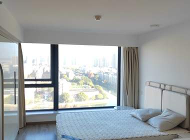 德信市心府（雅颂市心府） 