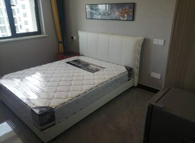 吴家东风嘉苑一区 