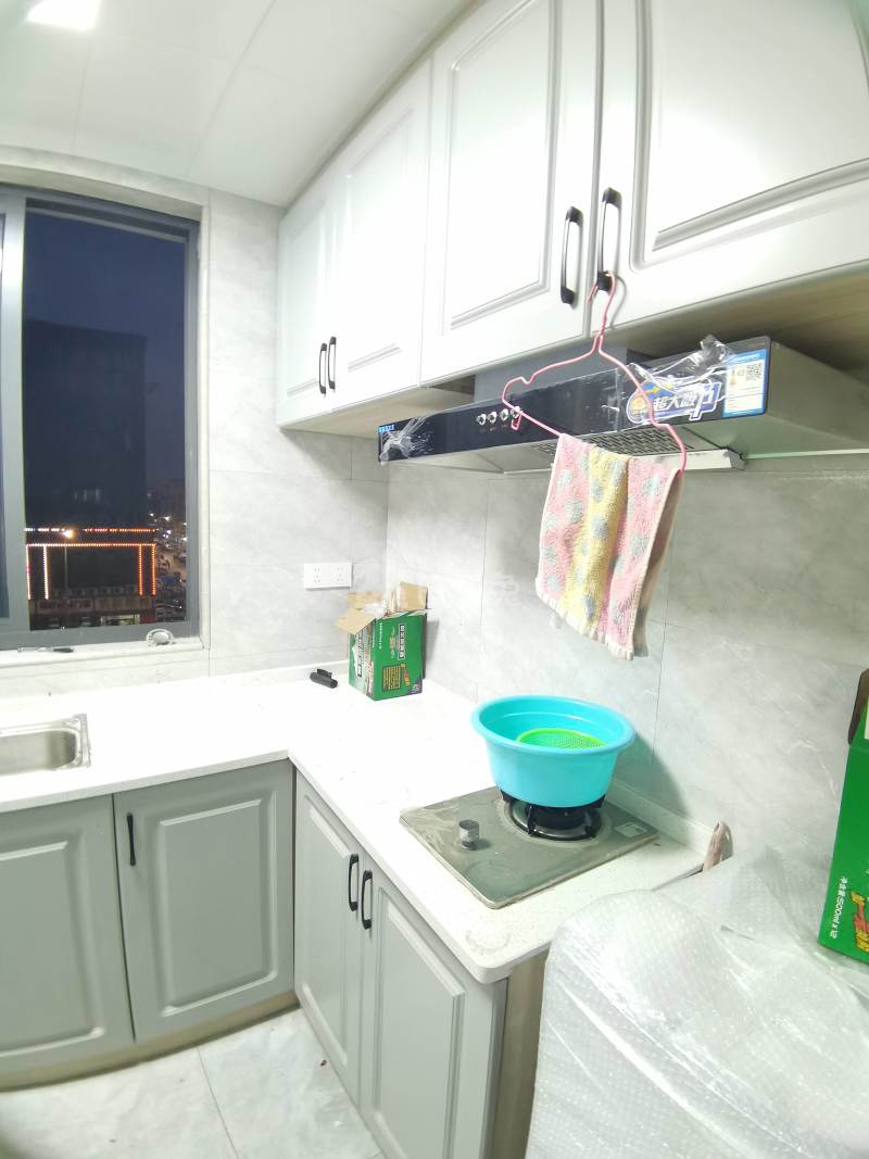 吴家东风嘉苑一区12132644厨房图4