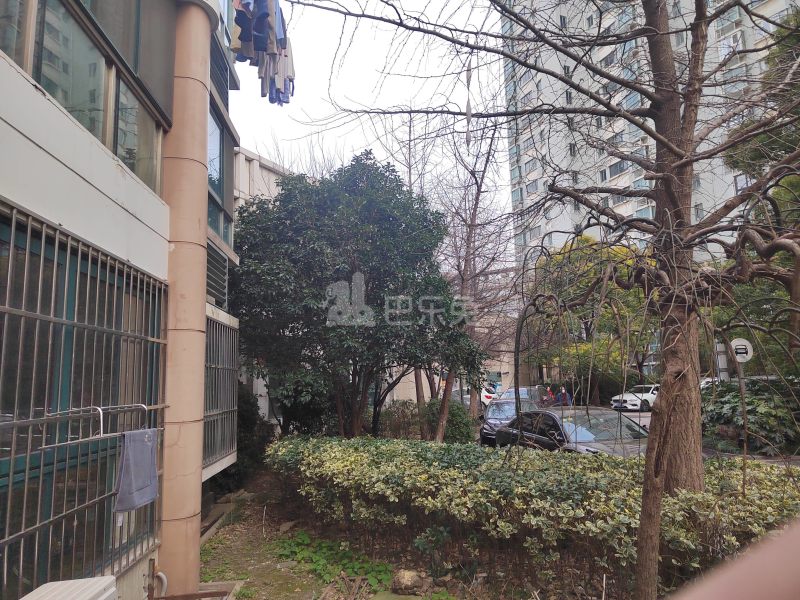 嘉利明珠城（平型关路377弄）1218465周边环境图12