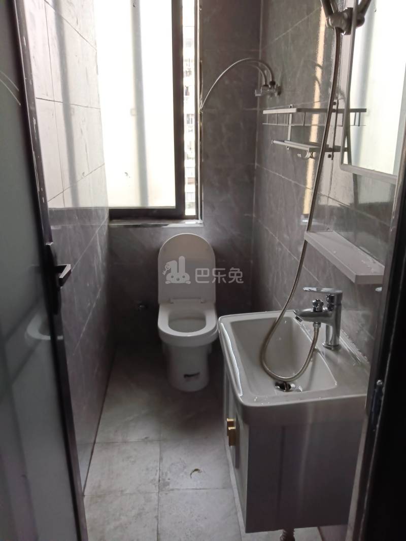 兴议家园12251256卫生间图8