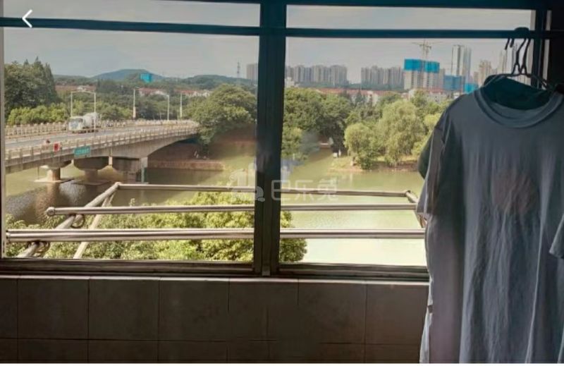 新河公寓12274884周边环境图1