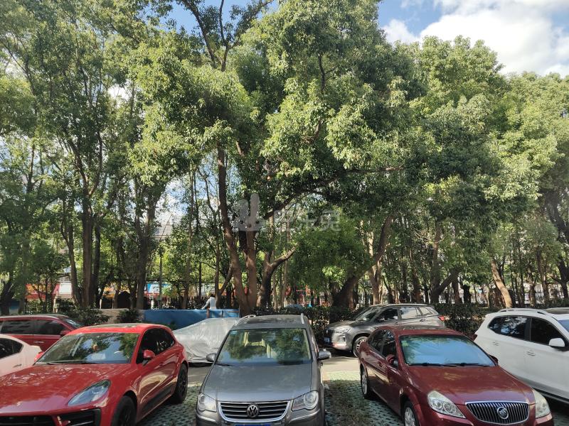 富特五村（春晖路289弄）12291567周边环境图9