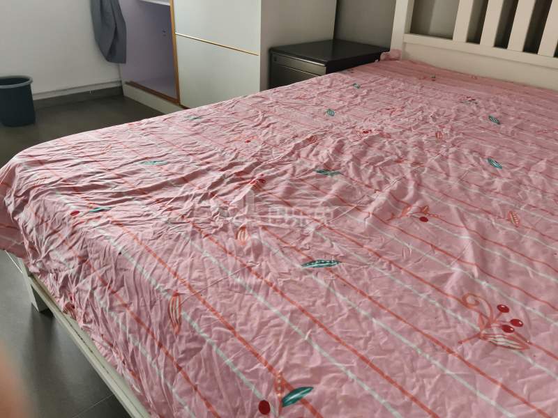 九亭明珠苑（九亭大街318弄）12391947卧室图1