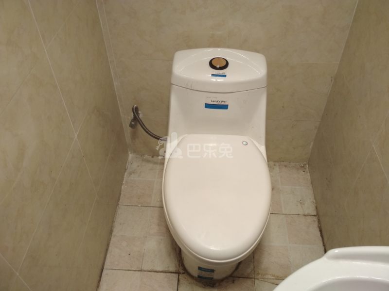 汇郡海棠苑（浦东）1239758卫生间图11