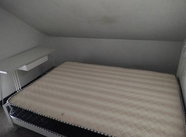 新联村新力（民房） 