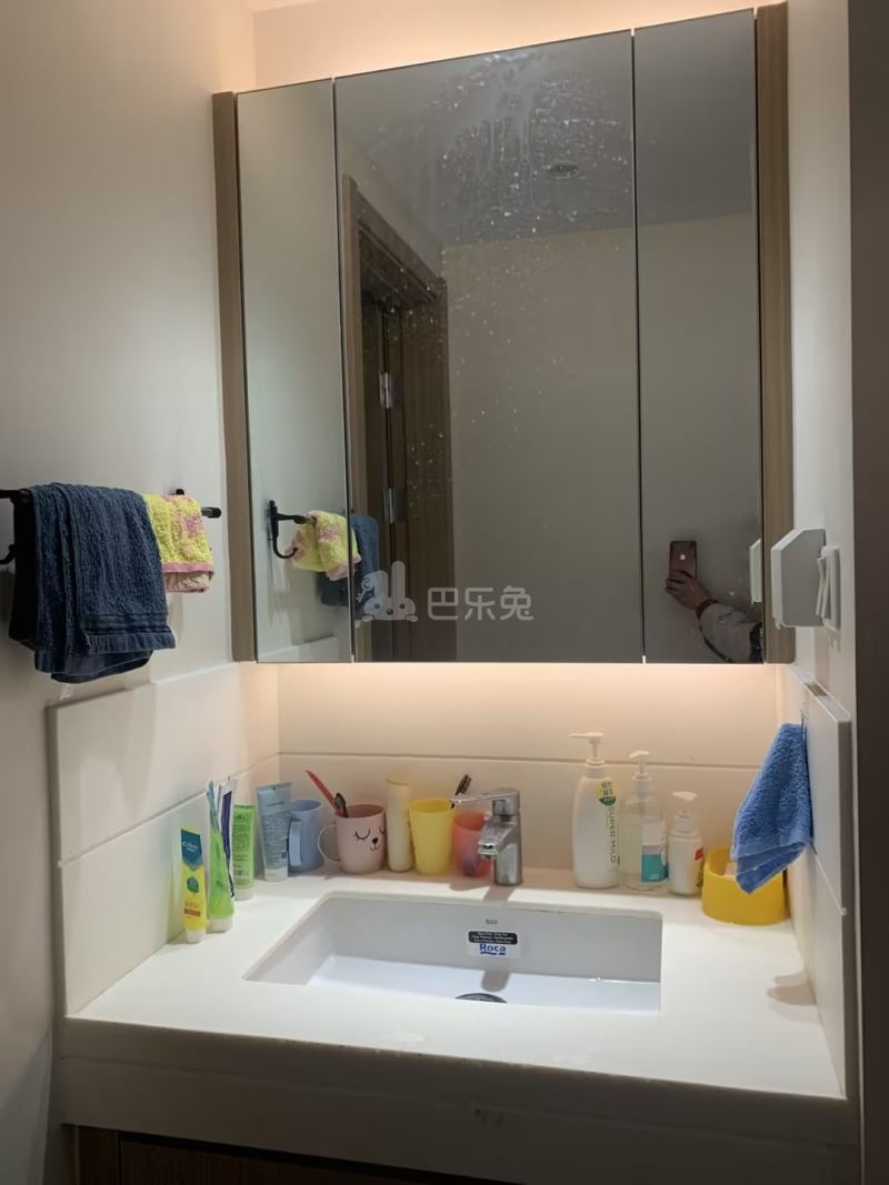 双湖雅居12450776周边环境图1