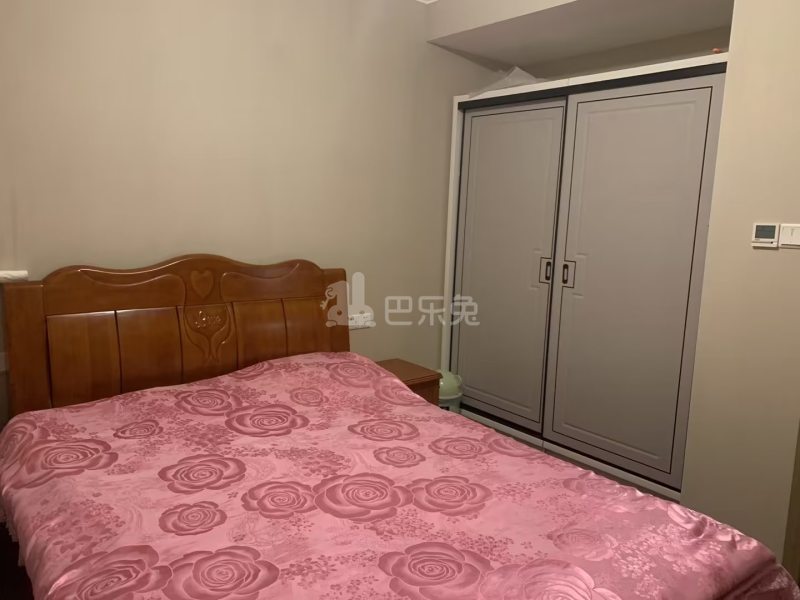 双湖雅居12450776周边环境图9