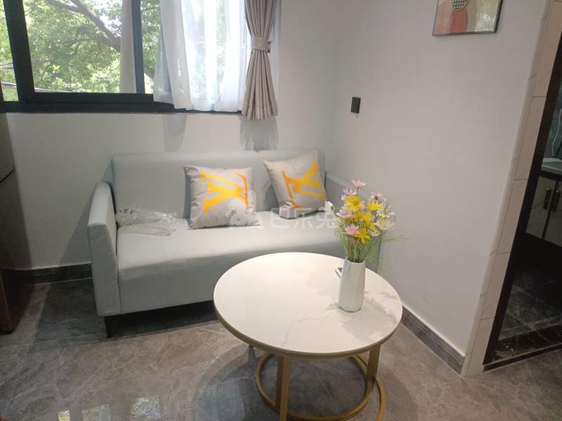 劳动村孙家宅（民房）12545562客厅图6