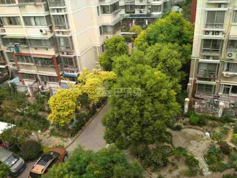 龙沟新苑15340509周边环境图48