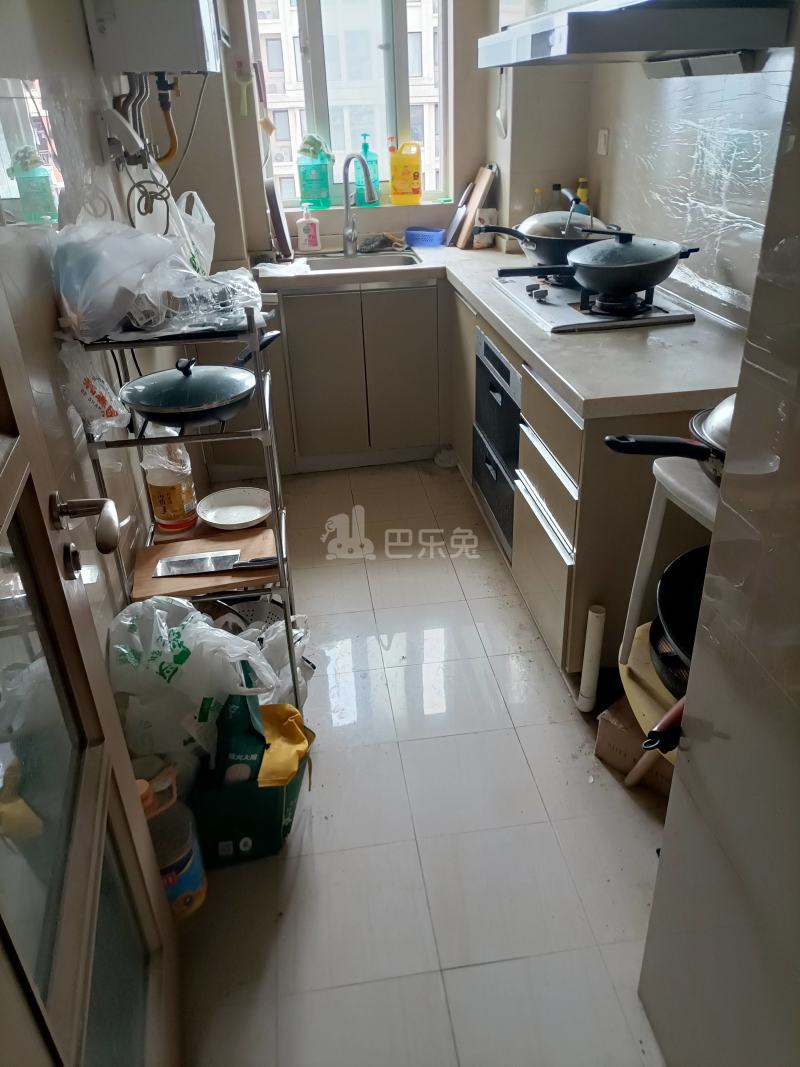 金地自在城三期A区（金地褐石苑A区）6969241厨房图11