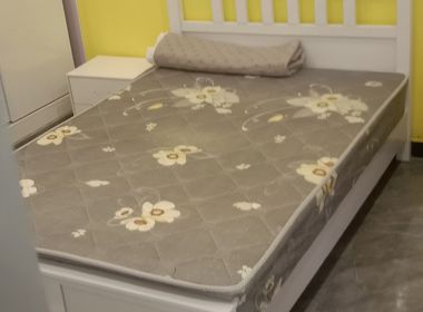 桃源新村（浦东） 