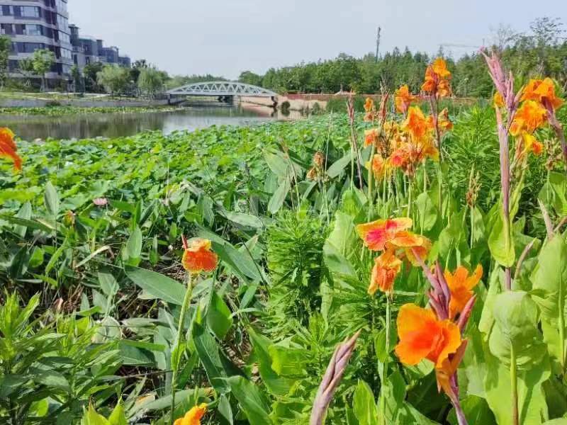 滴水湖馨苑四期12675133周边环境图5