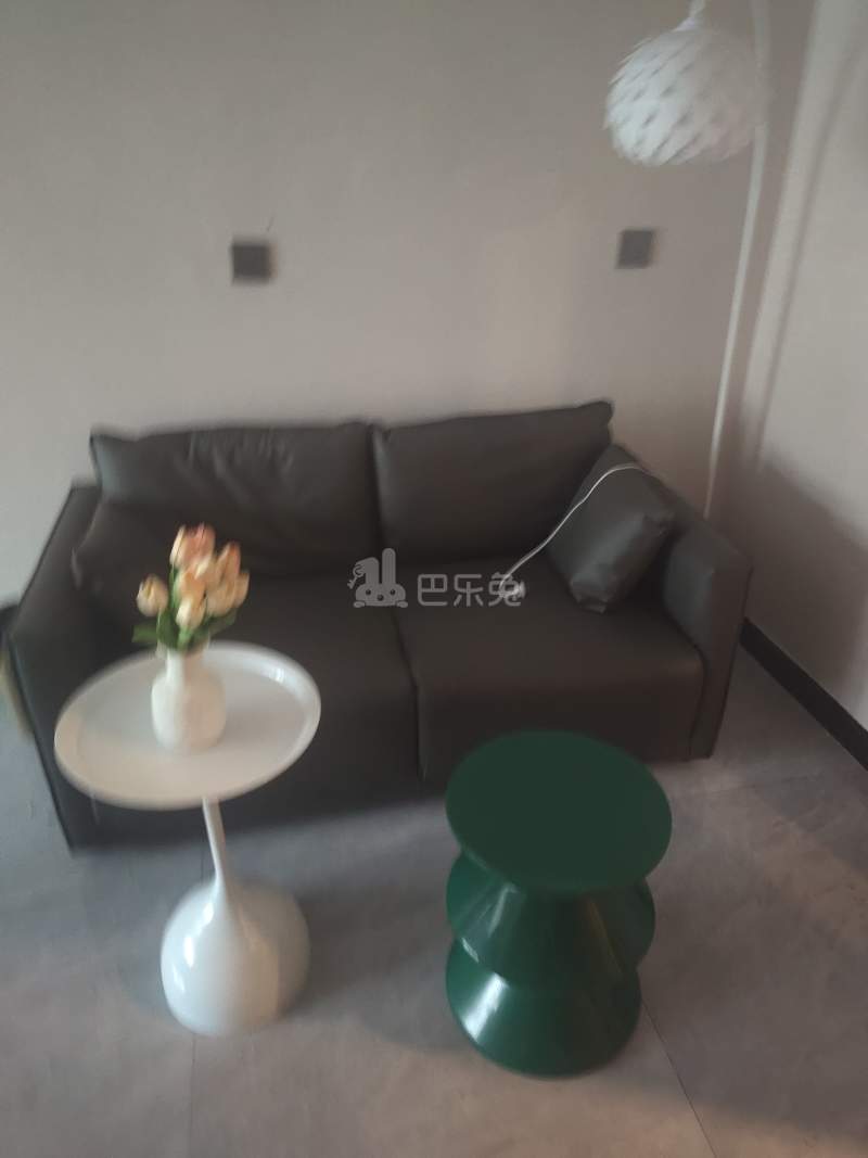 众安国泰花园12819281客厅图4