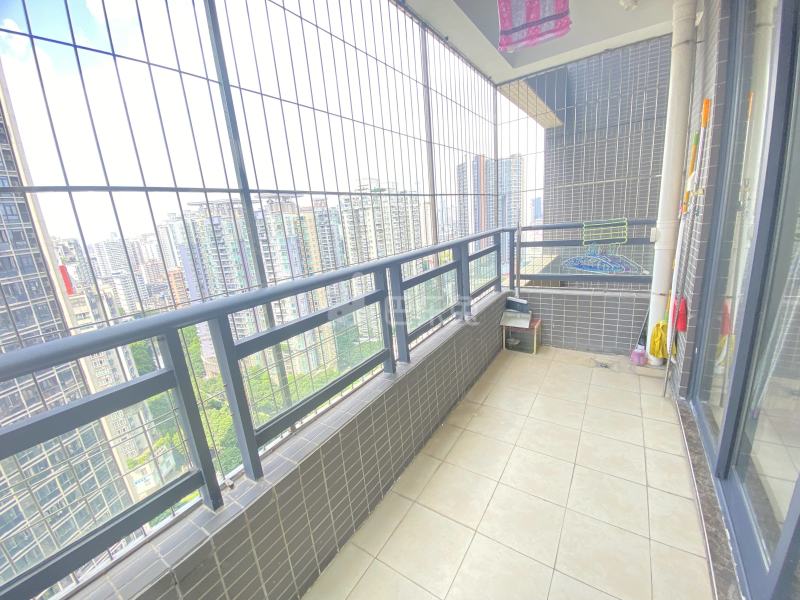 杨箕村B区12884567周边环境图4