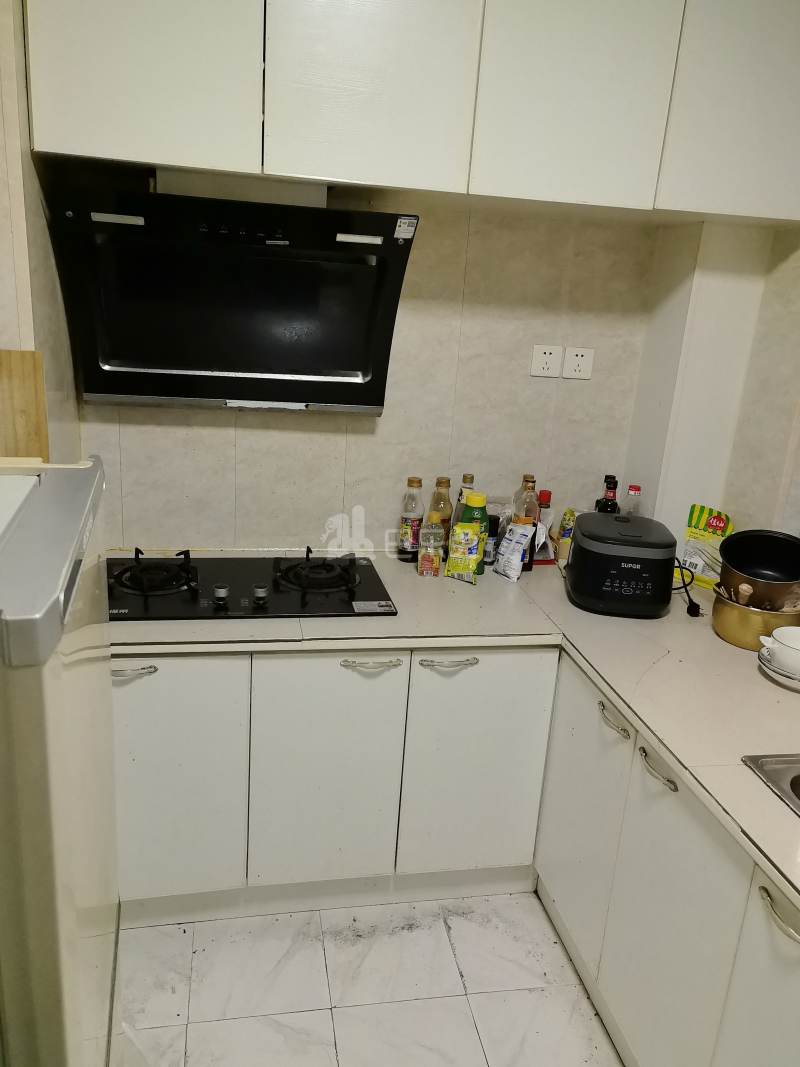 崧泽华城崧文苑（崧泽绿地C区）1289050厨房图4