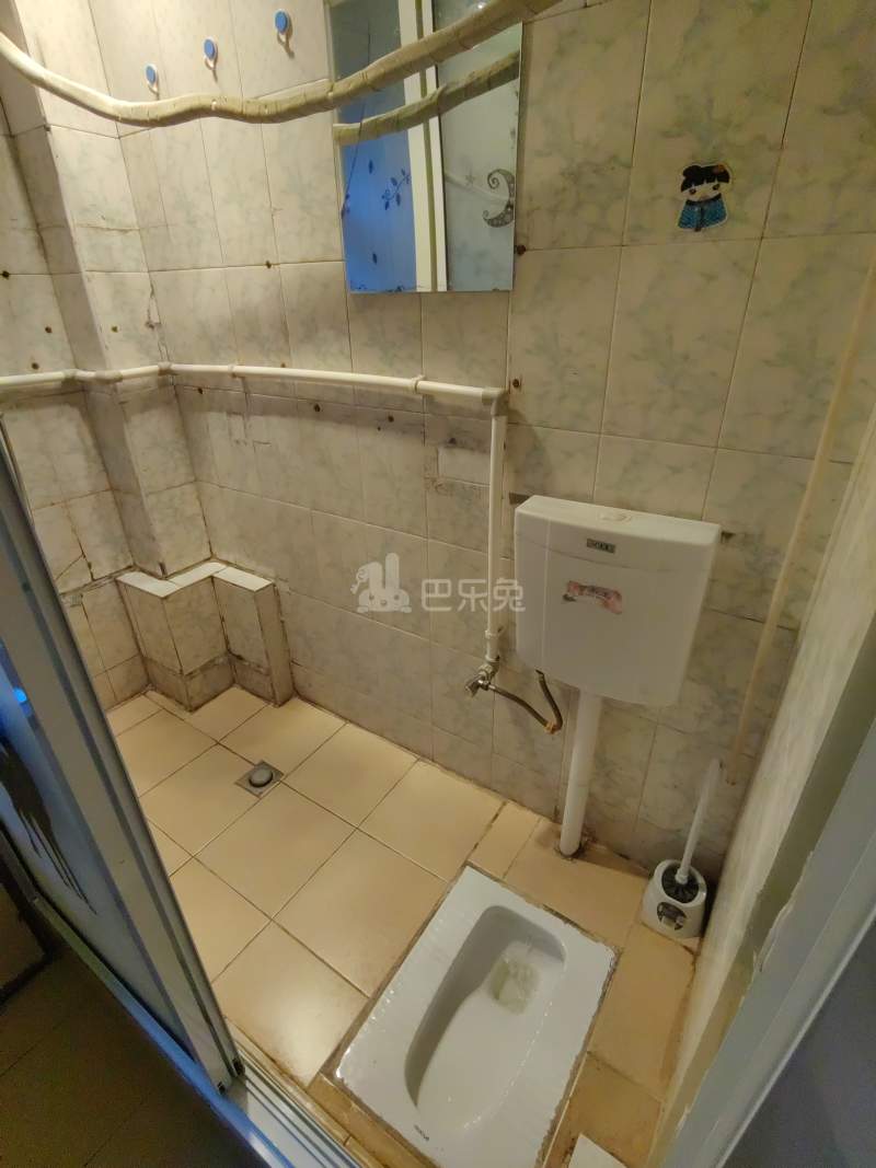 东南新村（周浦）1292961卫生间图11