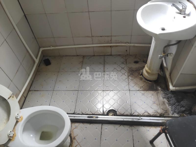 徐汇新城（龙吴路1717弄）245782卫生间图6